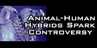 Animal-Human Hybrids Spark Controversy